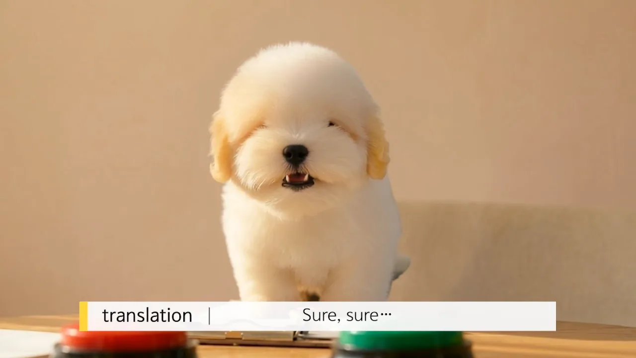COTON KENNEL 3부 미리보기